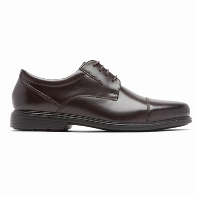 Sapatos Oxfords Rockport Charles Road Cap Toe Homem Bordeaux PT-14539